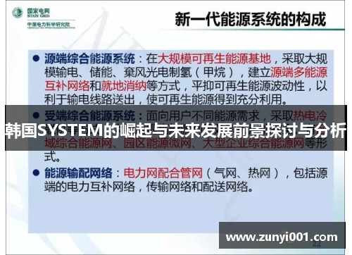 韩国SYSTEM的崛起与未来发展前景探讨与分析