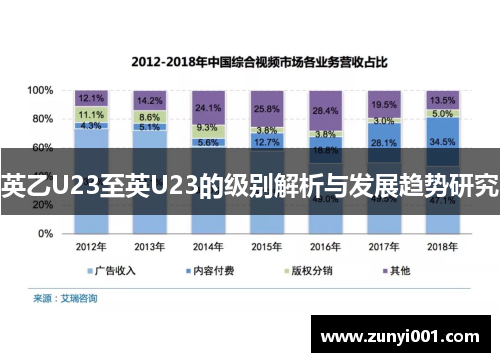 英乙U23至英U23的级别解析与发展趋势研究